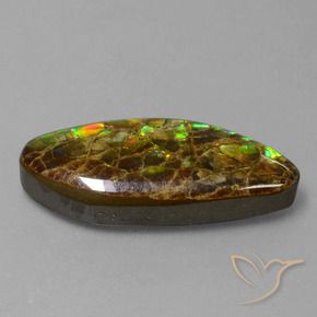 Ammolite Multicolore naturelle Fantaisie, 9.86 ct, Opaque