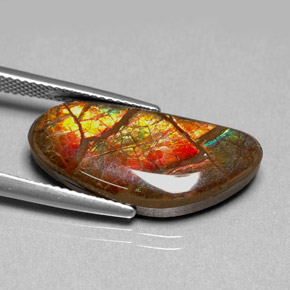 Ammolite Multicolore naturelle Forme fantaisie, 9.95 ct, Opaque