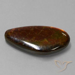 Ammolite Multicolore naturelle Fantaisie, 9.99 ct, Opaque