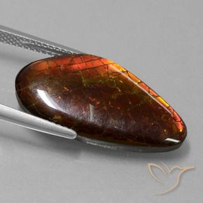 Ammolite Multicolore naturelle Fantaisie, 9.99 ct, Opaque