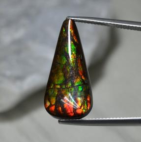 Ammolite Multicolore naturelle En forme de poire, 10.29 ct, Opaque
