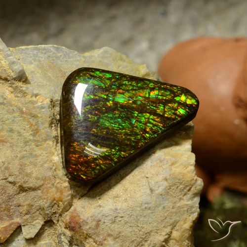 10.34ct Naturel Multicolore Ammolite, Trillion, Opaque