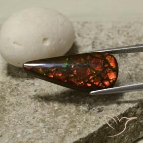 Ammolite Multicolore naturelle En forme de poire, 10.43 ct, Opaque