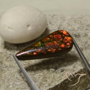 Ammolite Multicolore naturelle En forme de poire, 10.43 ct, Opaque