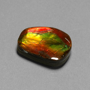 Ammolite multicolore naturelle forme fantaisie, 10,55 ct, opaque