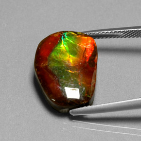 Ammolite multicolore naturelle forme fantaisie, 10,55 ct, opaque