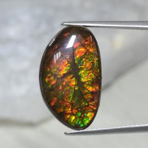 Ammolite multicolore naturelle forme fantaisie, 10,69 ct, opaque
