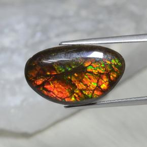 Ammolite multicolore naturelle forme fantaisie, 10,69 ct, opaque