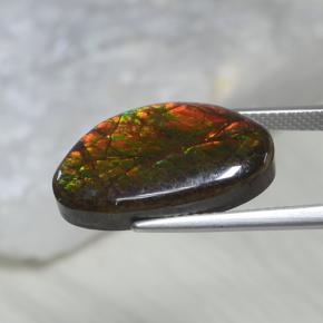 Ammolite multicolore naturelle forme fantaisie, 10,69 ct, opaque