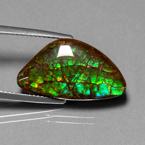 Ammolite multicolore naturelle forme fantaisie, 11,25 ct, opaque