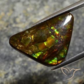 Ammolite Multicolore naturelle Fantaisie, 11.39 ct, Opaque