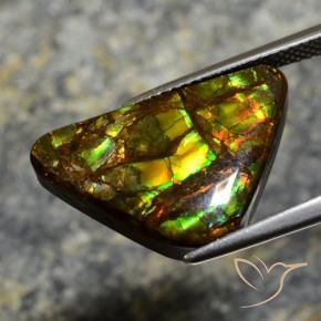 Ammolite Multicolore naturelle Fantaisie, 11.39 ct, Opaque