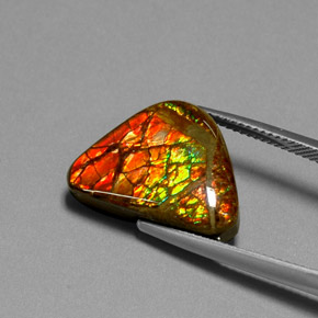 Ammolite multicolore naturelle forme fantaisie, 11,49 ct, opaque