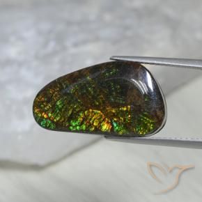 Ammolite Multicolore naturelle Fantaisie, 11.60 ct, Opaque