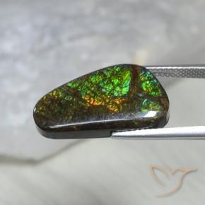Ammolite Multicolore naturelle Fantaisie, 11.60 ct, Opaque