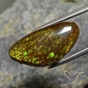 Ammolite Multicolore naturelle Fantaisie, 11.88 ct, Opaque