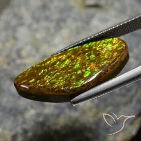 Ammolite Multicolore naturelle Fantaisie, 11.88 ct, Opaque