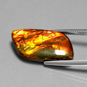Ammolite multicolore naturelle forme fantaisie, 11,92 ct, opaque