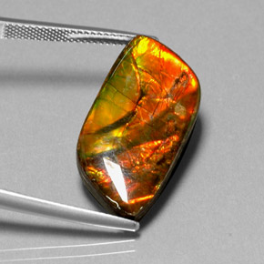 Ammolite multicolore naturelle forme fantaisie, 11,92 ct, opaque