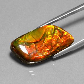 Ammolite multicolore naturelle forme fantaisie, 11,92 ct, opaque