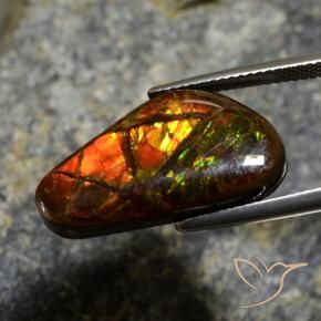 Ammolite Multicolore naturelle Fantaisie, 11.96 ct, Opaque