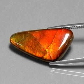 Ammolite Multicolore naturelle Forme fantaisie, 12.20 ct, Opaque