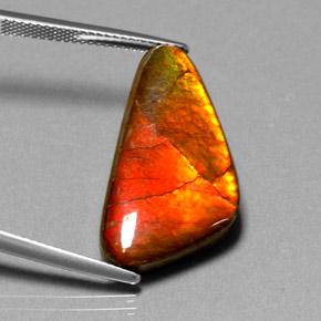 Ammolite Multicolore naturelle Forme fantaisie, 12.20 ct, Opaque