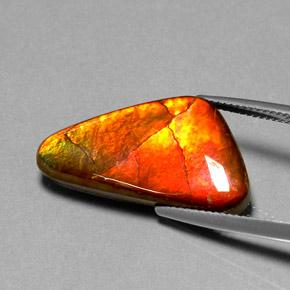 Ammolite Multicolore naturelle Forme fantaisie, 12.20 ct, Opaque