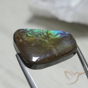 Ammolite Multicolore naturelle Fantaisie, 12.08 ct, Opaque
