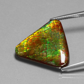 Ammolite multicolore naturelle forme fantaisie, 12,71 ct, opaque