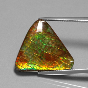 Ammolite multicolore naturelle forme fantaisie, 12,71 ct, opaque