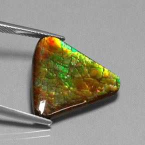 Ammolite multicolore naturelle forme fantaisie, 12,71 ct, opaque