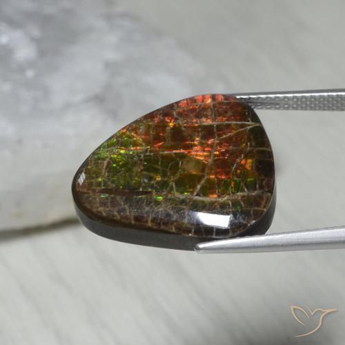 Ammolite Multicolore naturelle Fantaisie, 13.62 ct, Opaque
