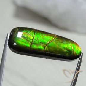 Ammolite Multicolore naturelle Fantaisie, 13.66 ct, Opaque
