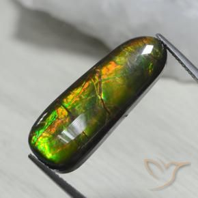 Ammolite Multicolore naturelle Fantaisie, 13.66 ct, Opaque