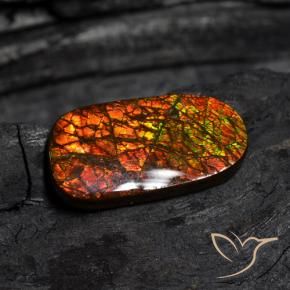 Ammolite Multicolore naturelle Fantaisie, 14.13 ct, Opaque