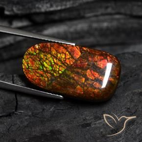 Ammolite Multicolore naturelle Fantaisie, 14.13 ct, Opaque