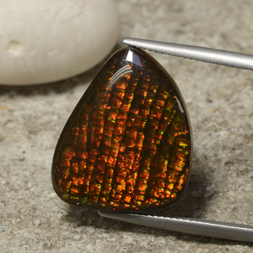 Ammolite multicolore naturelle forme fantaisie, 14,29 ct, opaque