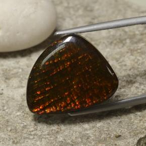 Ammolite multicolore naturelle forme fantaisie, 14,29 ct, opaque