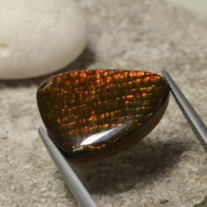 Ammolite multicolore naturelle forme fantaisie, 14,29 ct, opaque