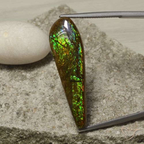 Ammolite Multicolore naturelle Fantaisie, 14.49 ct, Opaque
