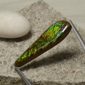 Ammolite Multicolore naturelle Fantaisie, 14.49 ct, Opaque