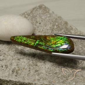Ammolite Multicolore naturelle Fantaisie, 14.49 ct, Opaque