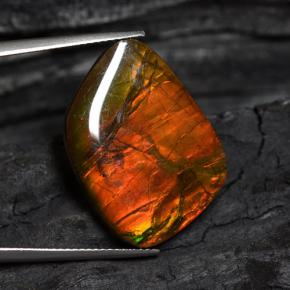 Ammolite multicolore naturelle forme fantaisie, 15,89 ct, opaque