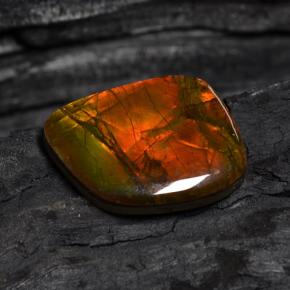 Ammolite multicolore naturelle forme fantaisie, 15,89 ct, opaque