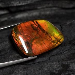 Ammolite multicolore naturelle forme fantaisie, 15,89 ct, opaque