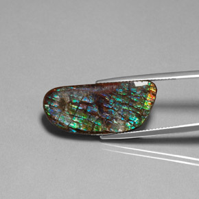 Ammolite multicolore naturelle forme fantaisie, 16,86 ct, opaque