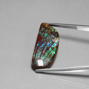 Ammolite multicolore naturelle forme fantaisie, 16,86 ct, opaque