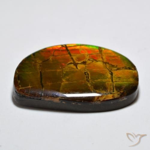 Ammolite Multicolore naturelle Fantaisie, 17.11 ct, Opaque