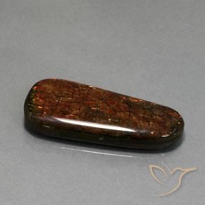 Ammolite Multicolore naturelle Fantaisie, 21.40 ct, Opaque